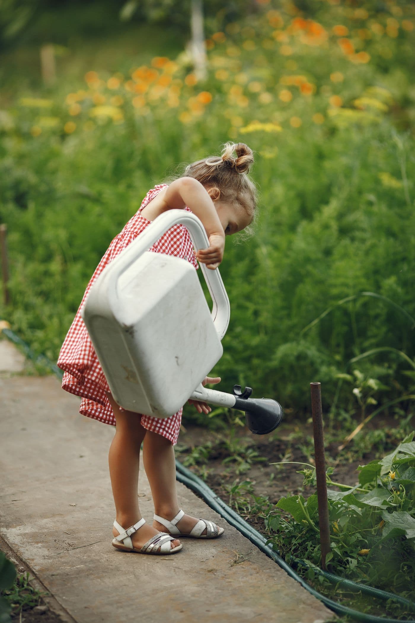 A child watering plants in a sunny garden